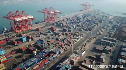 跨境電商“新半場”跑出加速度 政策與AI挑戰(zhàn)奏響發(fā)展“奏鳴曲”